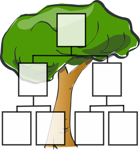 Graphic of an empty family tree